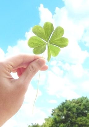 四つ葉のクローバーを持つ手写真